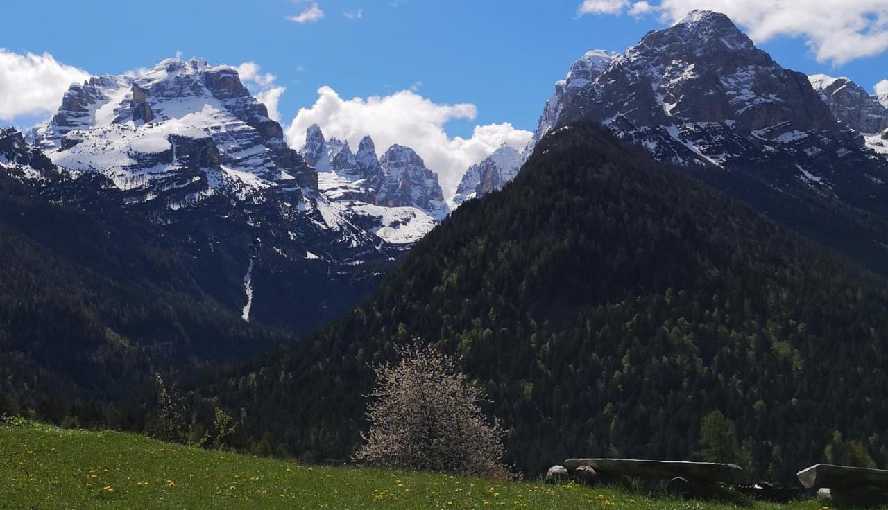 Fogajard Lovely Chalet Madonna di Campiglio Ngoại thất bức ảnh